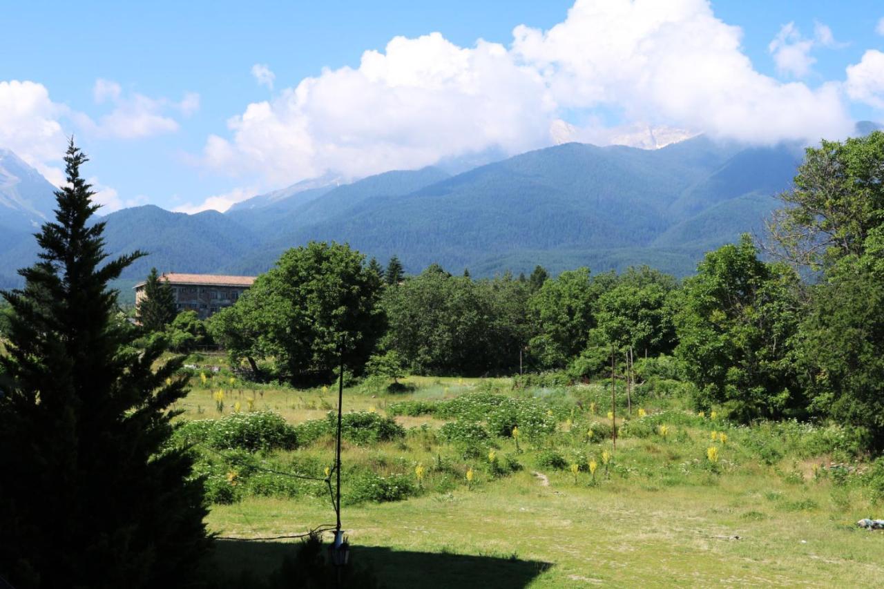 Alpine Lodge Bansko Exteriör bild