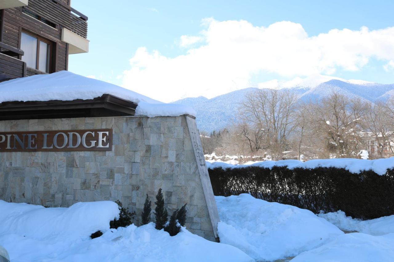 Alpine Lodge Bansko Exteriör bild