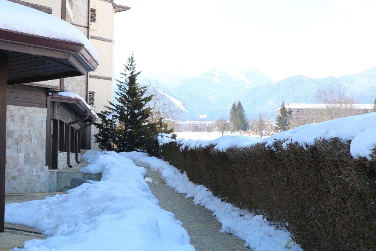 Alpine Lodge Bansko Exteriör bild